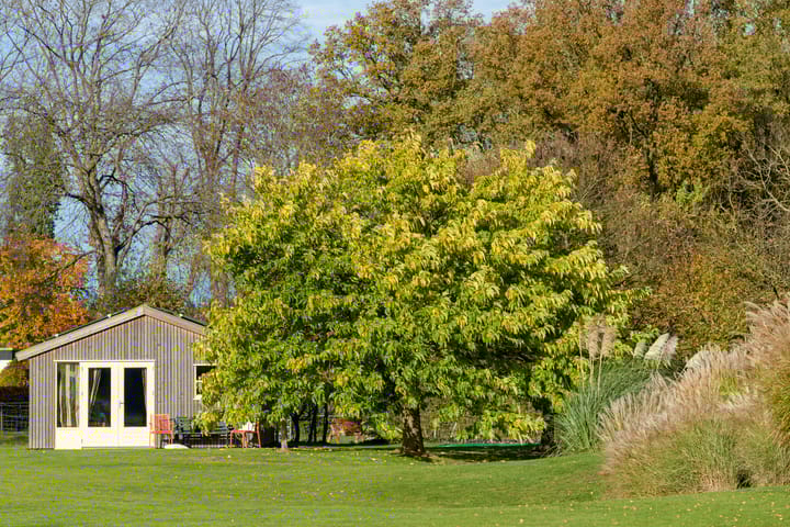 Photo 75 of Konijnenkamp 41