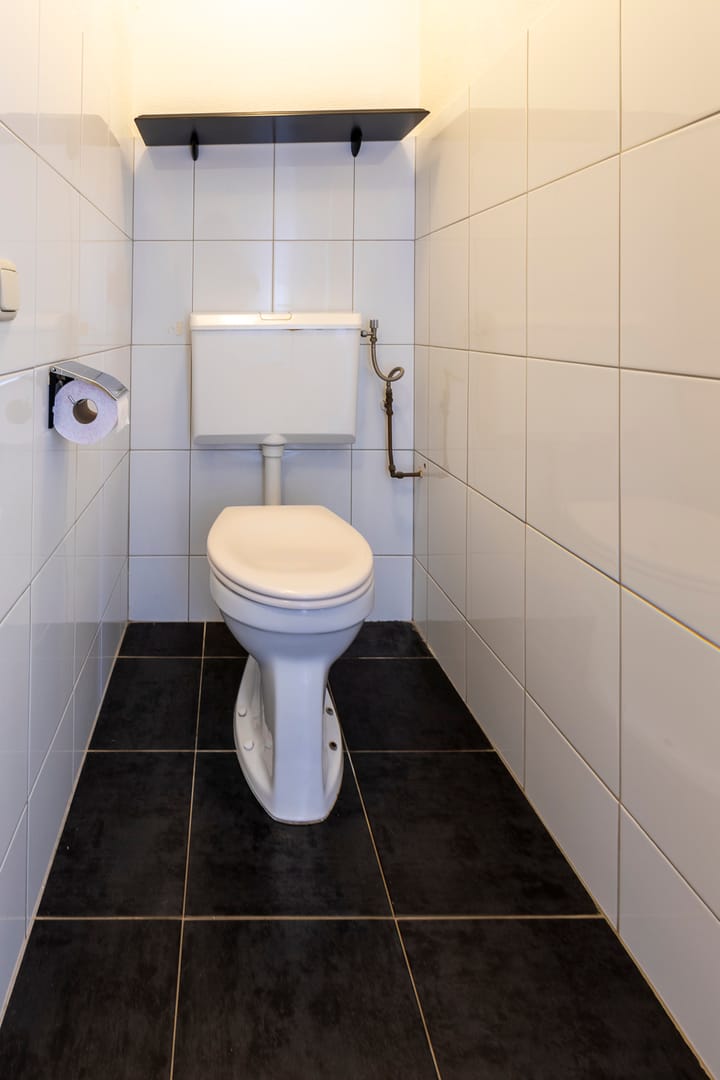 Photo 14 of Peeberg 67