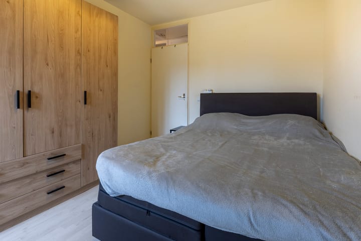 Photo 18 of Peeberg 67