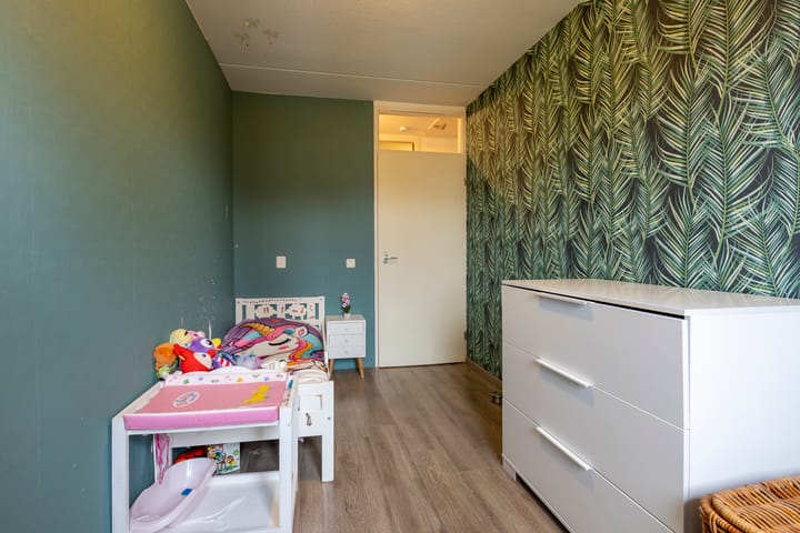 Photo 20 of Peeberg 67