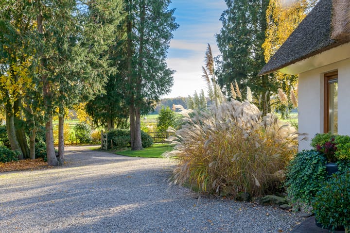 Photo 91 of Konijnenkamp 41