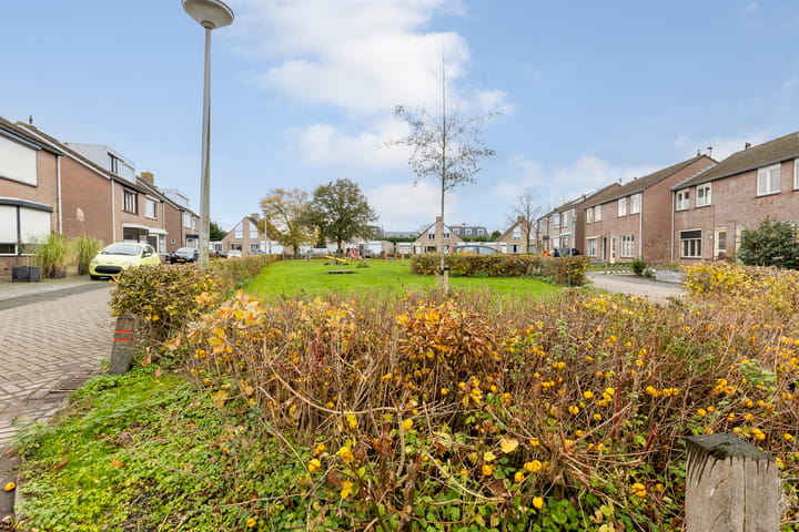 Photo 35 of Peeberg 67