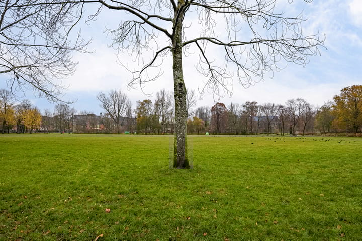 Photo 39 of Oosterpark 39-C