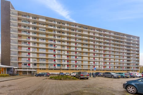 Livingstonelaan 608 secondary image