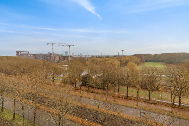 Photo 9 of Livingstonelaan 608