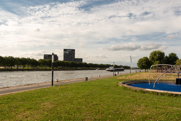 Photo 27 of Livingstonelaan 608