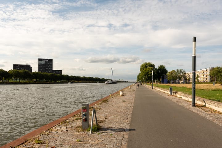 Photo 28 of Livingstonelaan 608