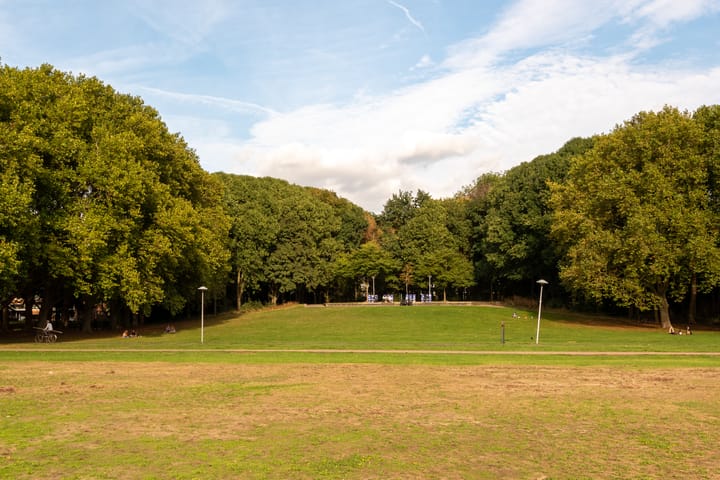 Photo 29 of Livingstonelaan 608