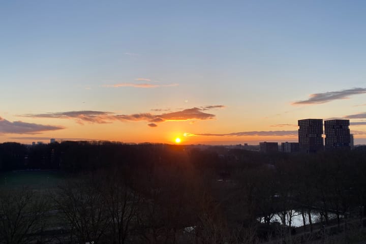 Photo 31 of Livingstonelaan 608