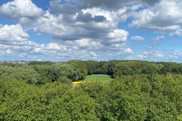 Photo 32 of Livingstonelaan 608