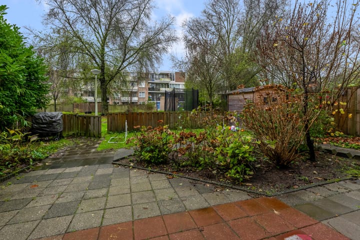 Foto 18 van Wamelstraat 127