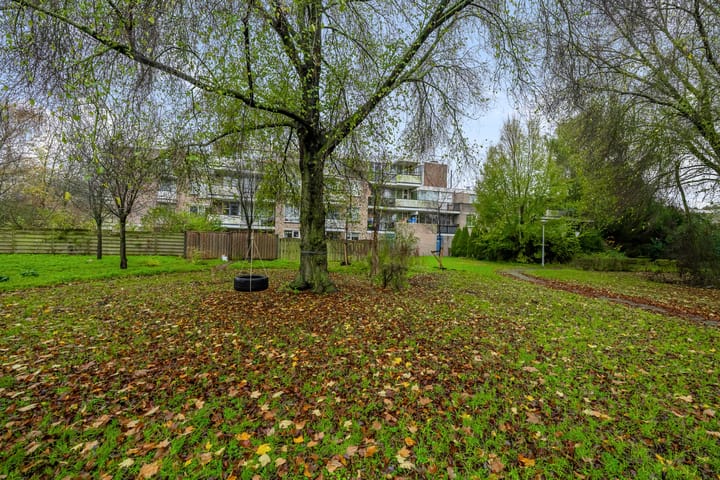 Foto 20 van Wamelstraat 127