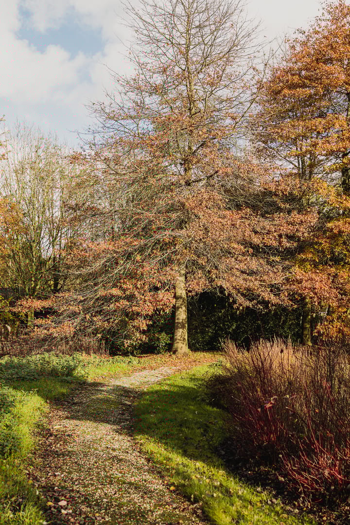 Foto 23 van Amsteldijk Zuid 79-B