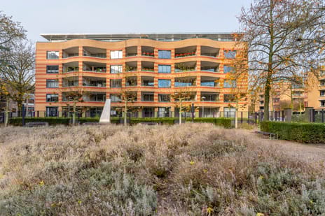 Hartingstraat thumbnail