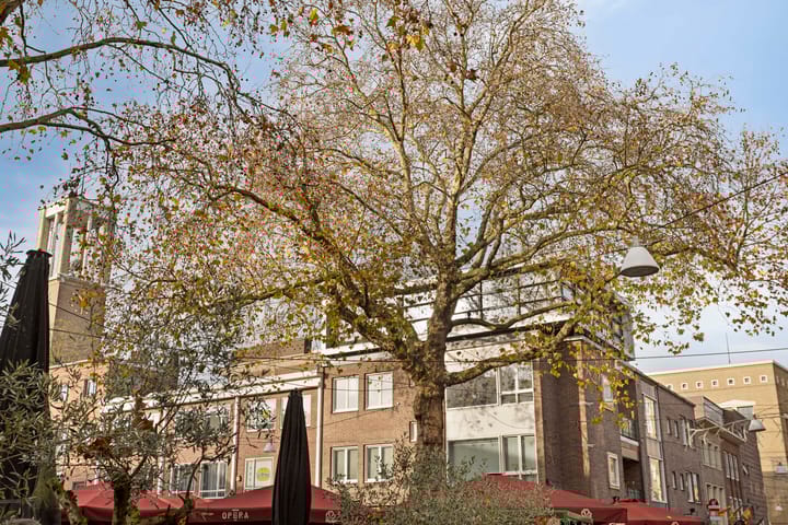 Foto 2 van Koningstraat 32