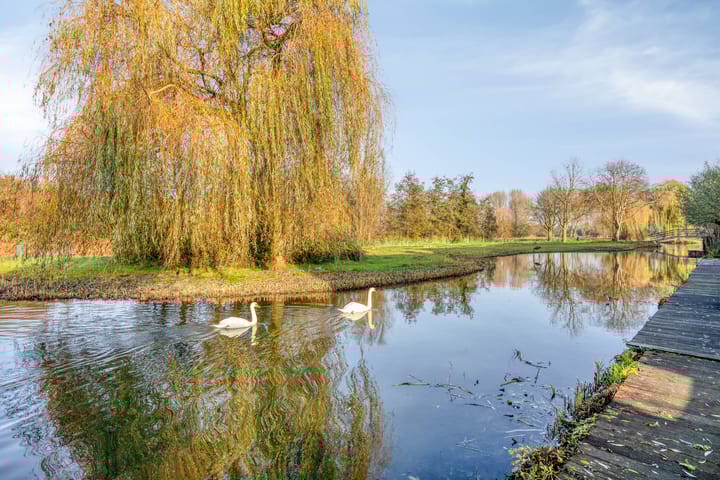 Foto 38 van Trasmolen 60