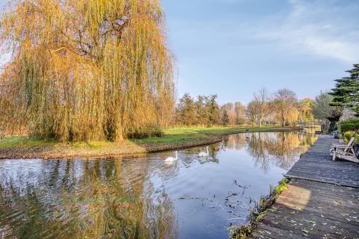 Foto 39 van Trasmolen 60