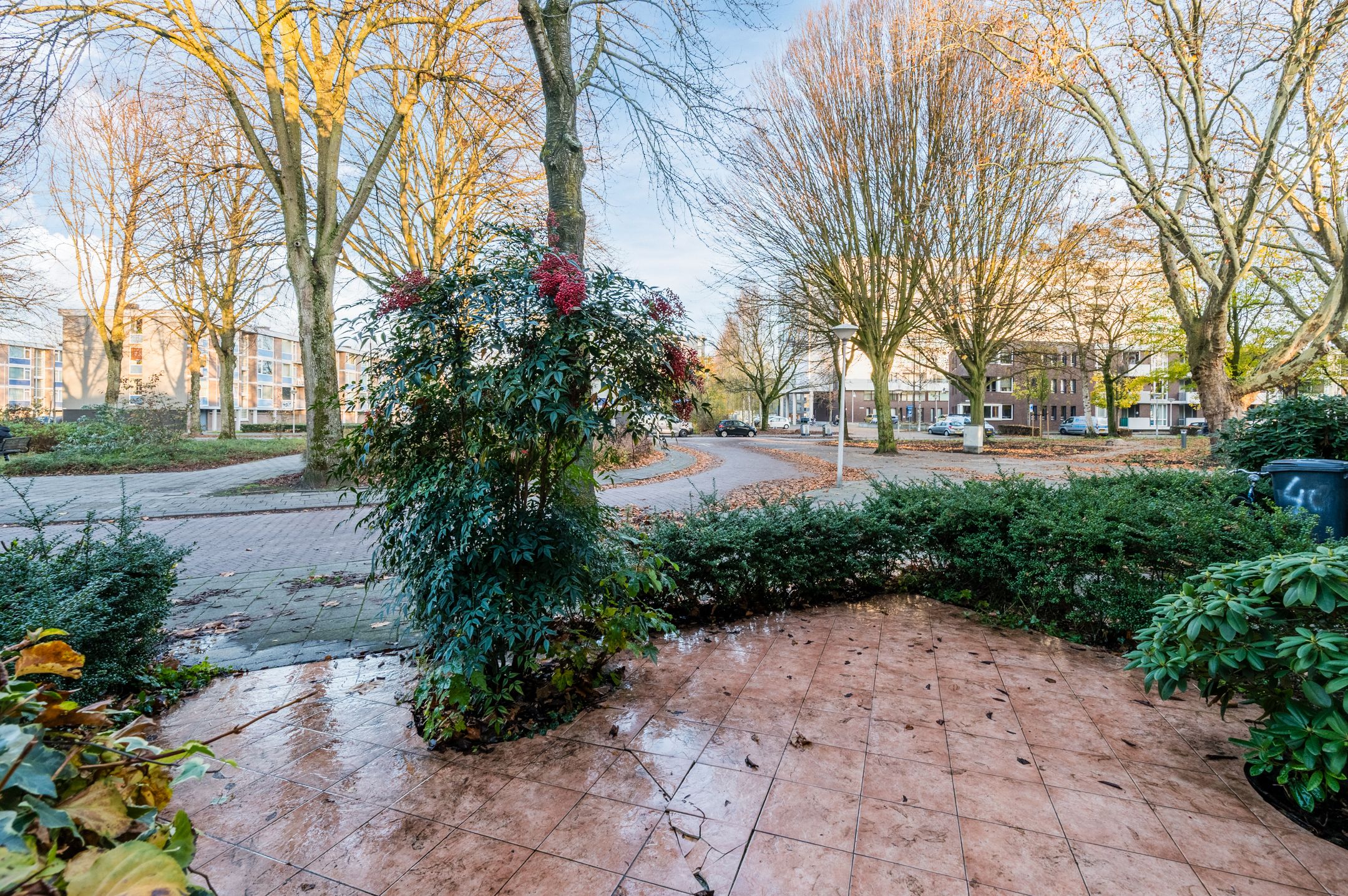 Foto 36 van Sebastiaan van Noyestraat 38