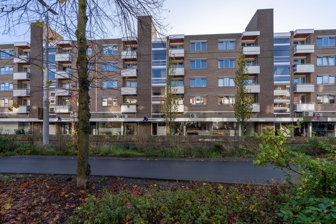 Foto 2 van Ir J.P. van Muijlwijkstraat 188