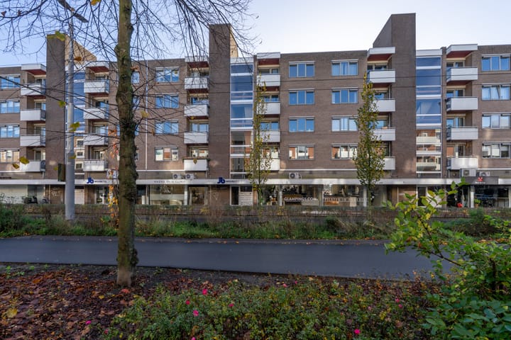 Foto 2 van Ir J.P. van Muijlwijkstraat 188