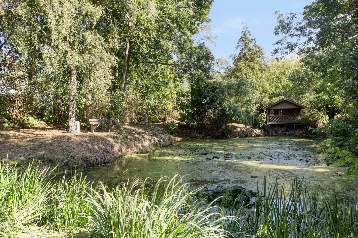 Photo 50 of Nieuweweg 6