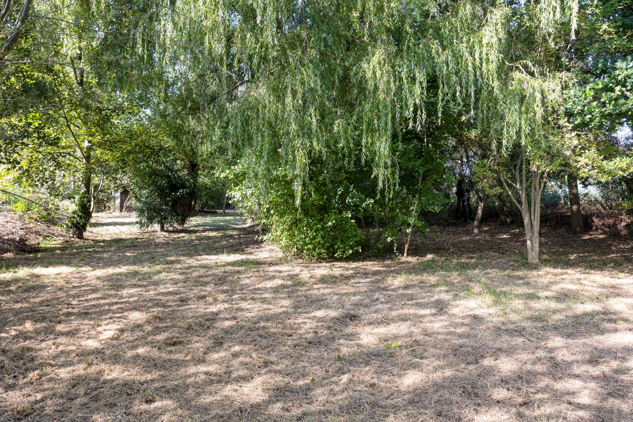 Photo 51 of Nieuweweg 6