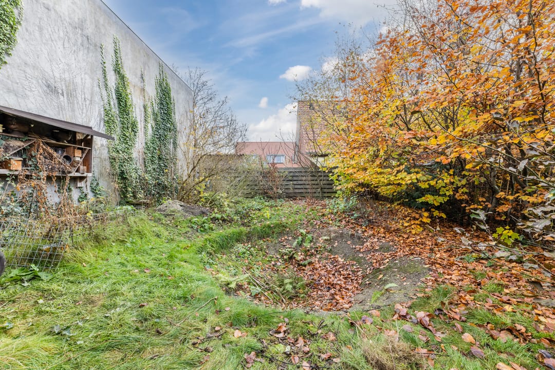 Foto 26 van Looierstraat 7