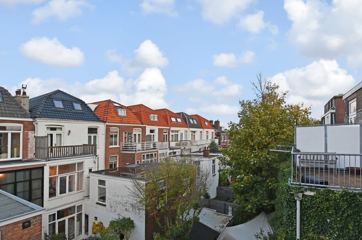 Photo 25 of Theresiastraat 232