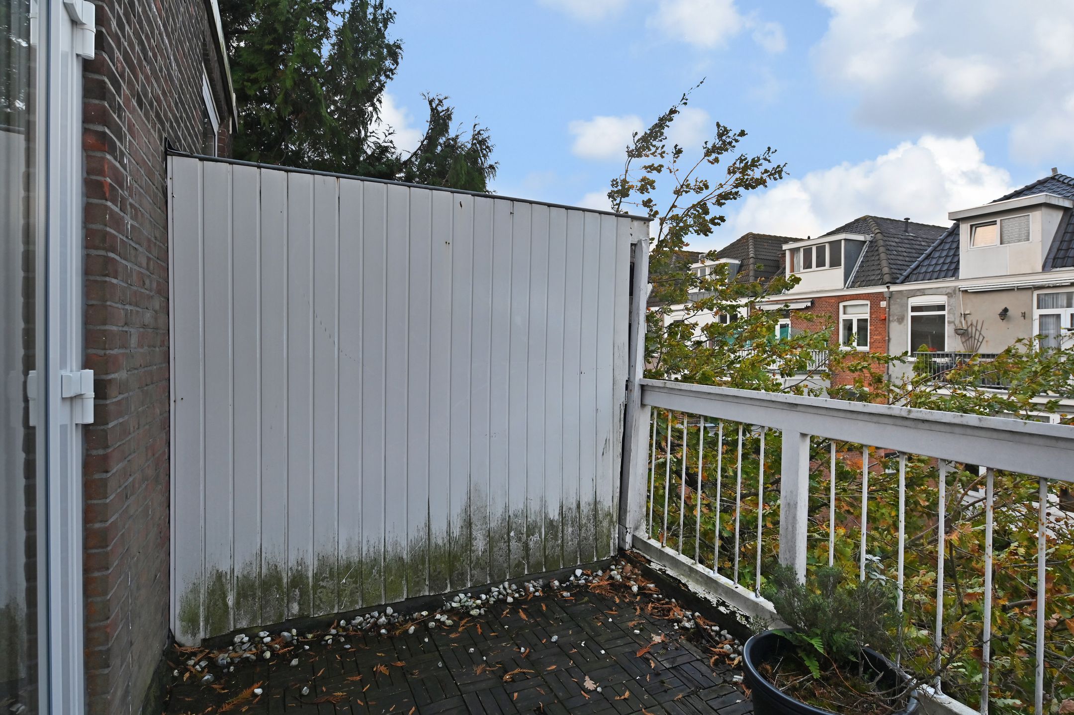 Foto 24 van Theresiastraat 232