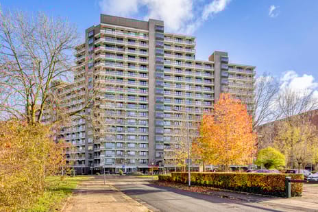 Groningensingel thumbnail