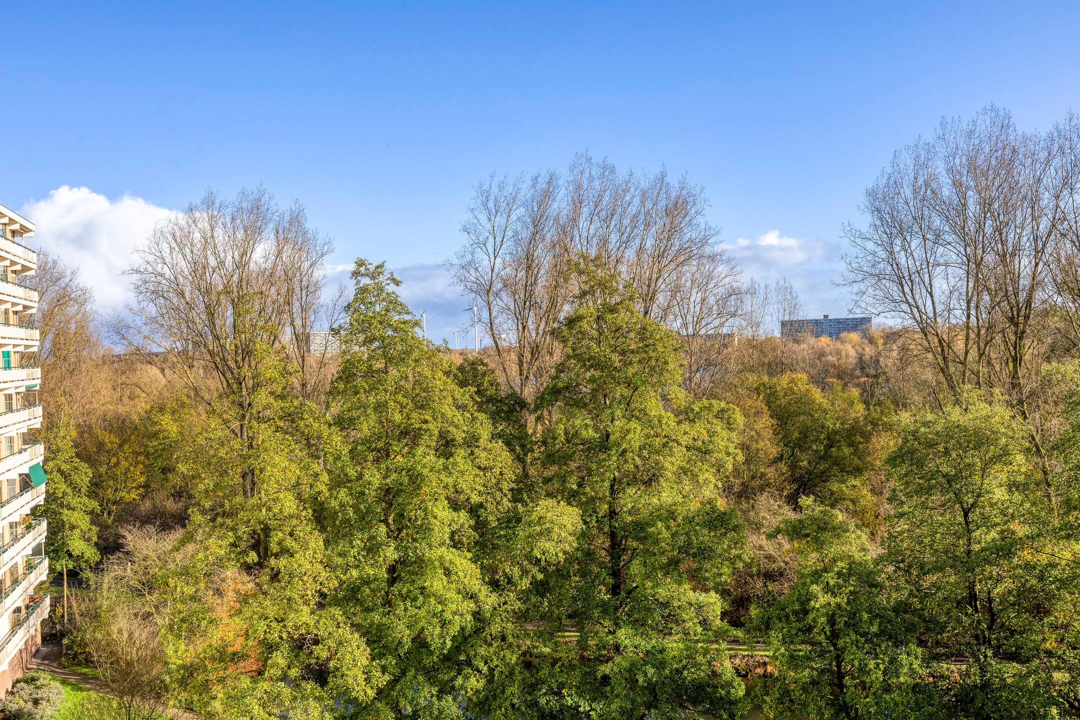 Foto 3 van Groningensingel 893