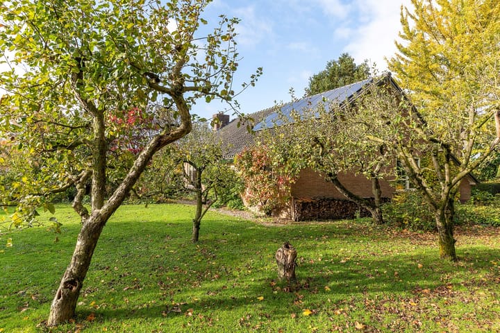 Photo 6 of Pottumsestraat 1