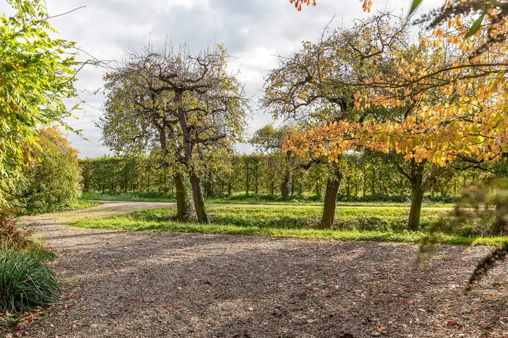 Photo 64 of Pottumsestraat 1