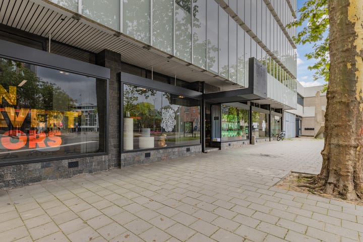 Foto 16 van Hertog Hendrik van Brabantplein 18-D