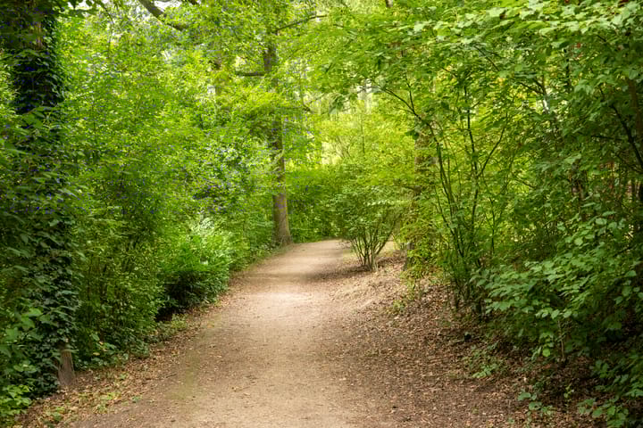 Foto 28 van Sterkenburg 53-75