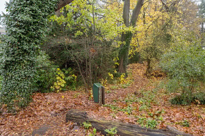 Photo 41 of Sparrenlaan 13