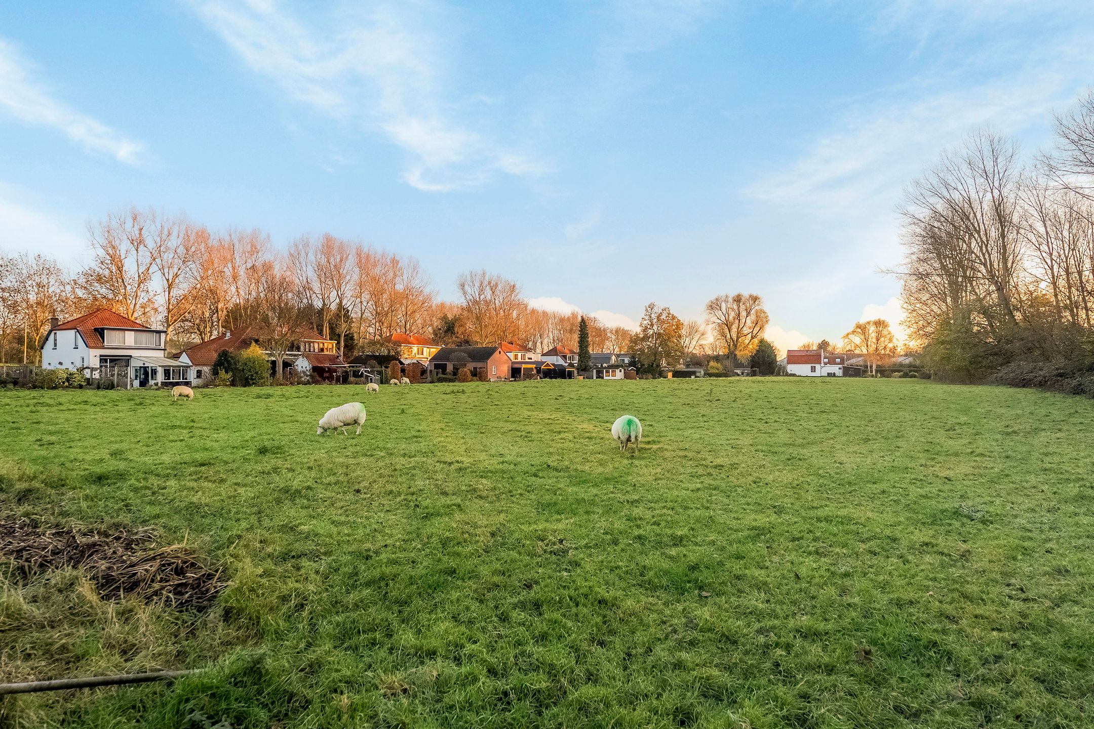 Foto 72 van Slotsedijk 147