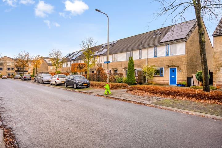 Photo 36 of Erasmuslaan 88