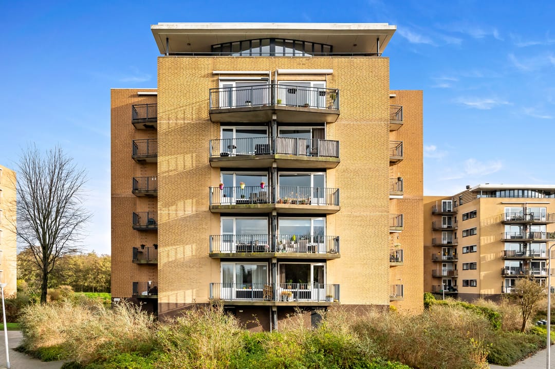 Foto 1 van Zwanebloem 24