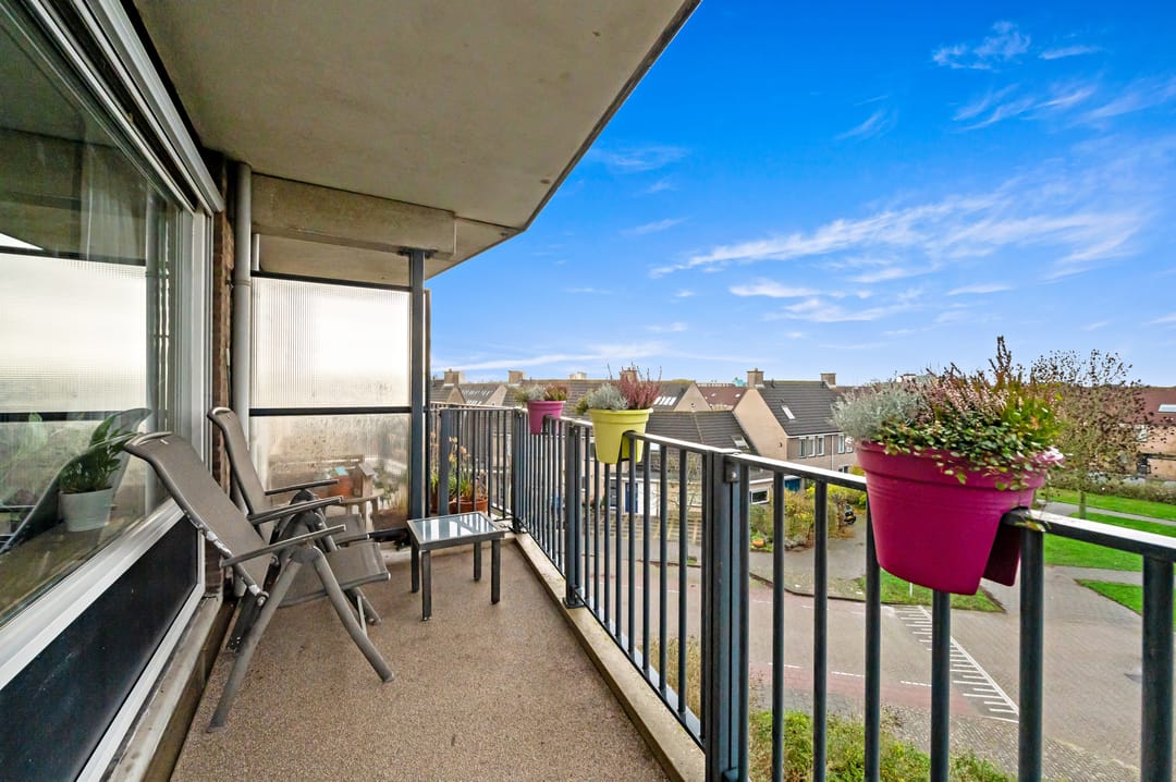 Foto 26 van Zwanebloem 24