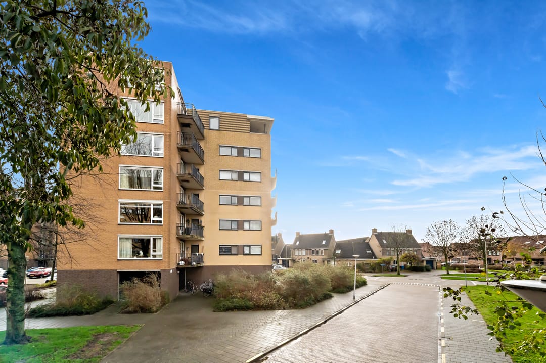 Foto 32 van Zwanebloem 24