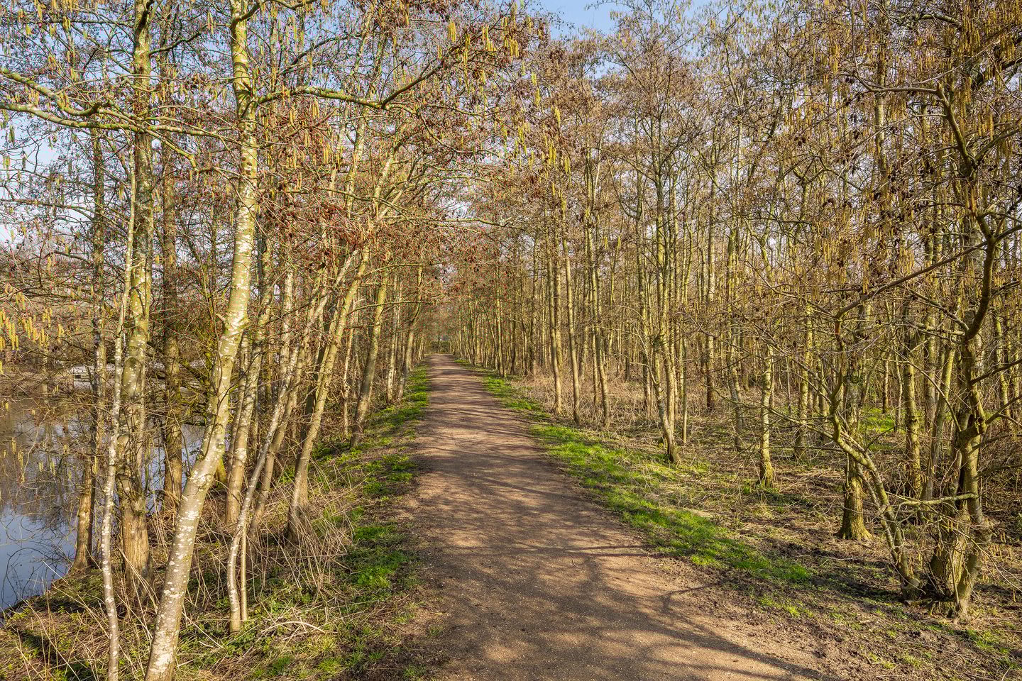 Foto 35 van Zwanebloem 24