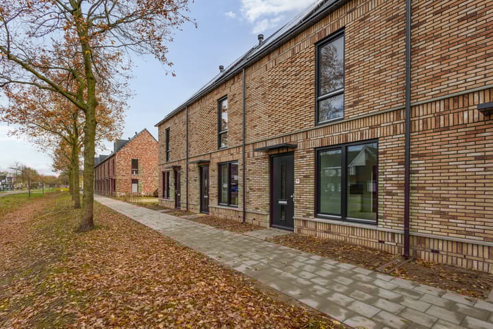 Photo 4 of Parelmoervlinder 92