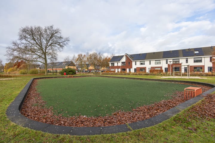 Photo 29 of Parelmoervlinder 92