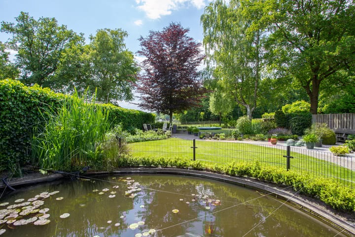 Photo 29 of D'n Alleman 21