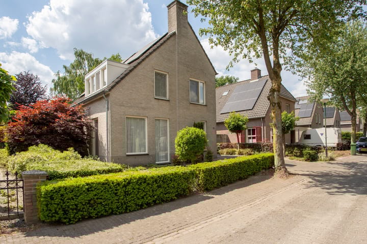 Photo 34 of D'n Alleman 21