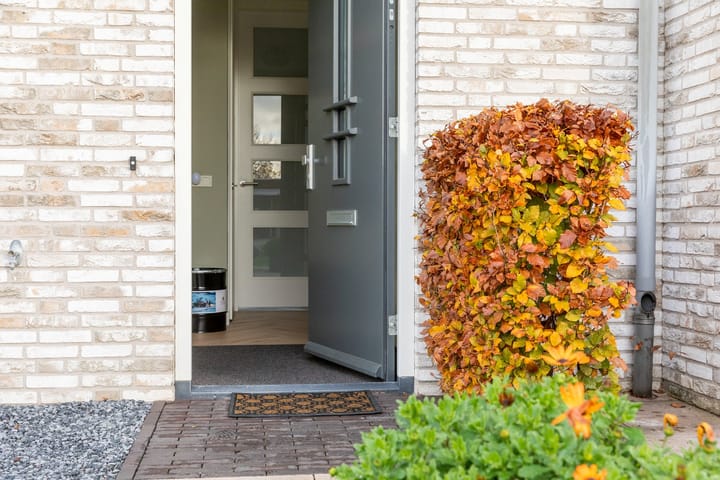 Foto 50 van H Vervoornstraat 22