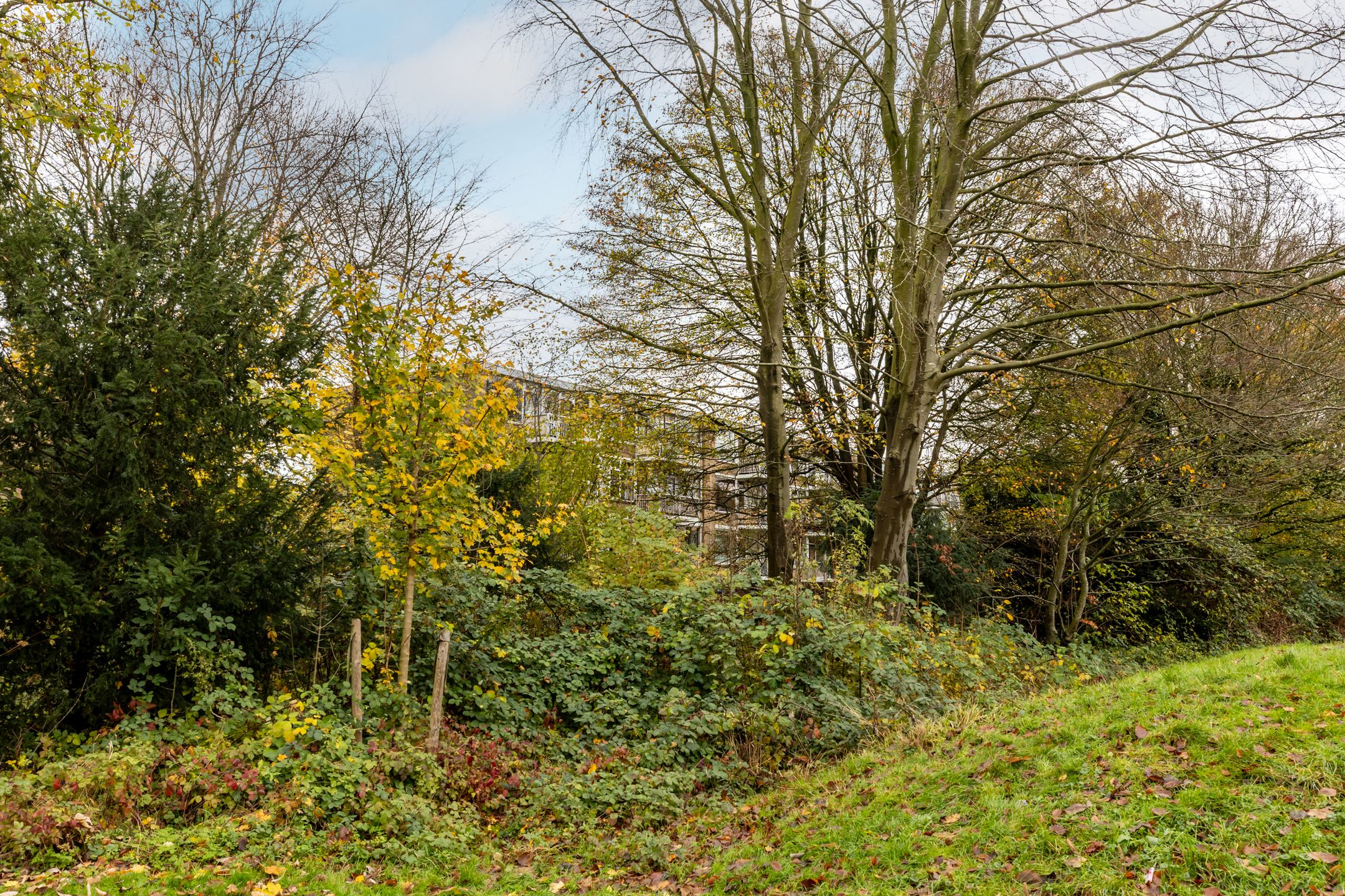 Foto 30 van Mozartstraat 114