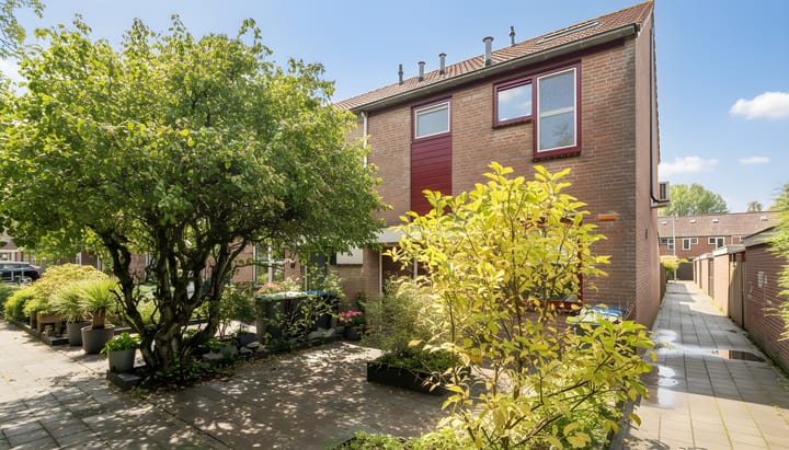 Duizendblad 11 main image