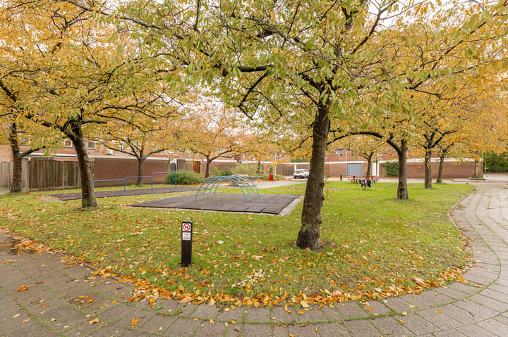 Photo 5 of Duizendblad 11